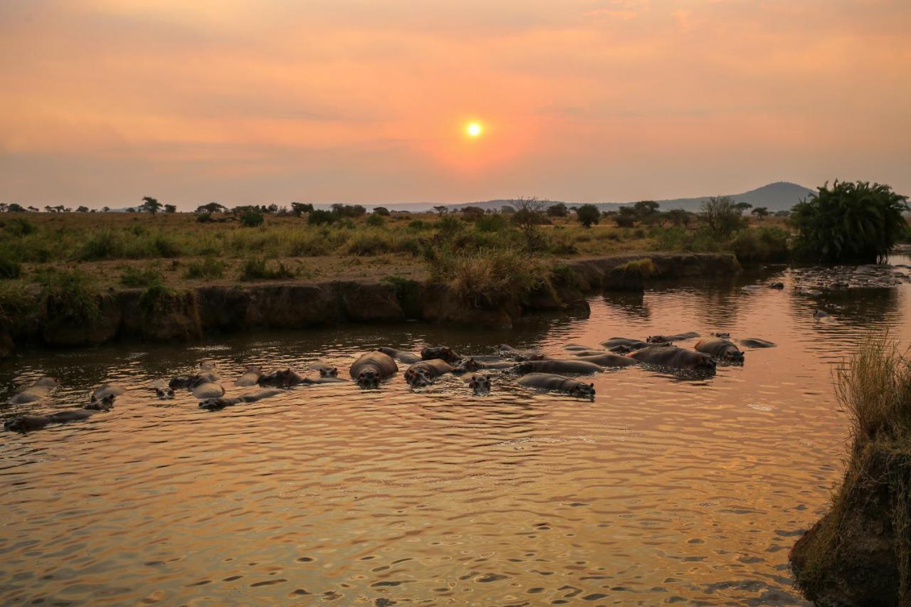 Osero Serengeti Luxury Tented Camp 巴纳吉 外观 照片