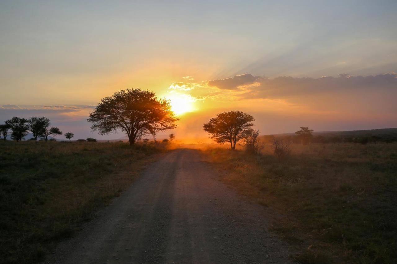 Osero Serengeti Luxury Tented Camp 巴纳吉 外观 照片